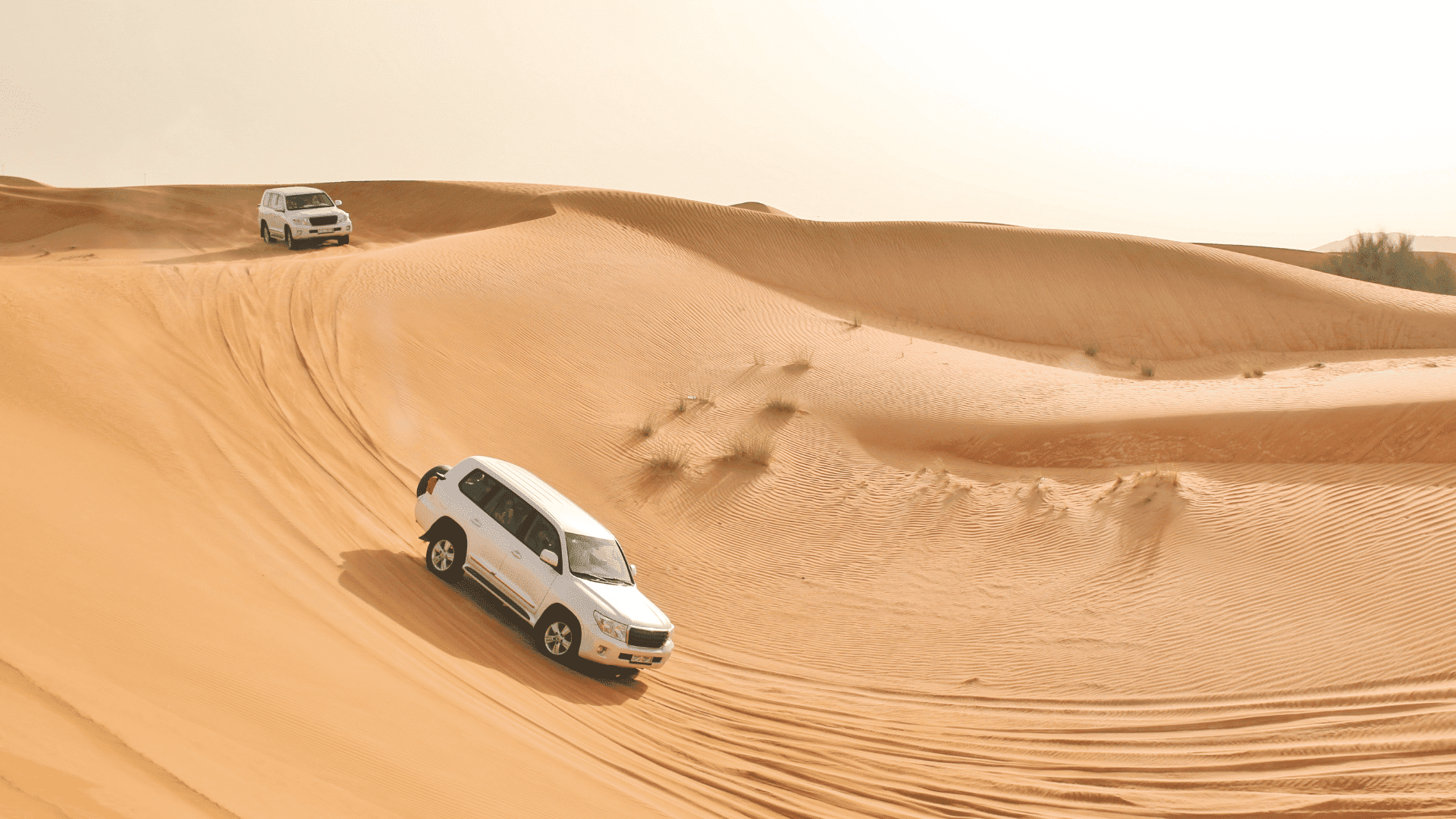 Desert Safari Dubai UAE