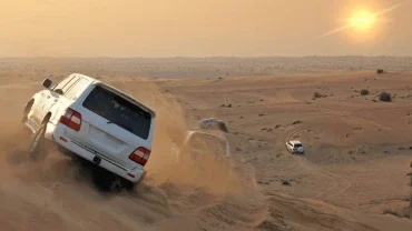 Experience the Best Desert Safaris in Dubai