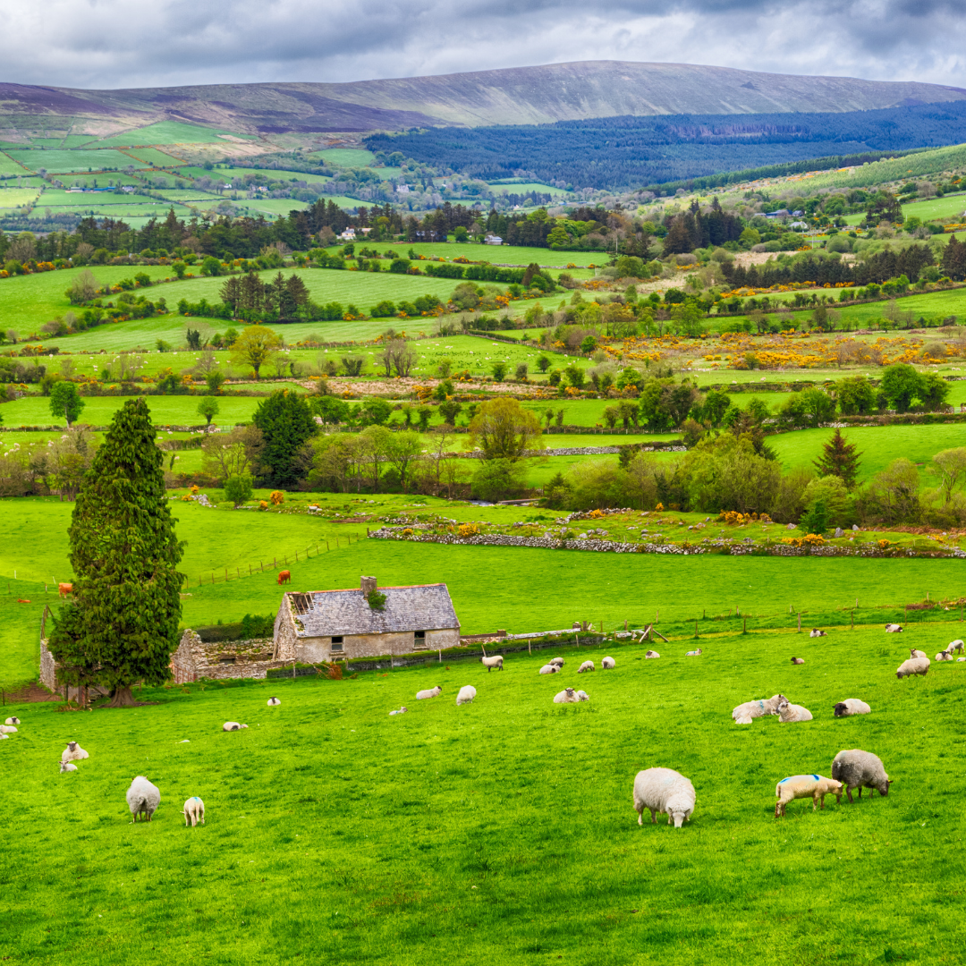 Explore Ireland