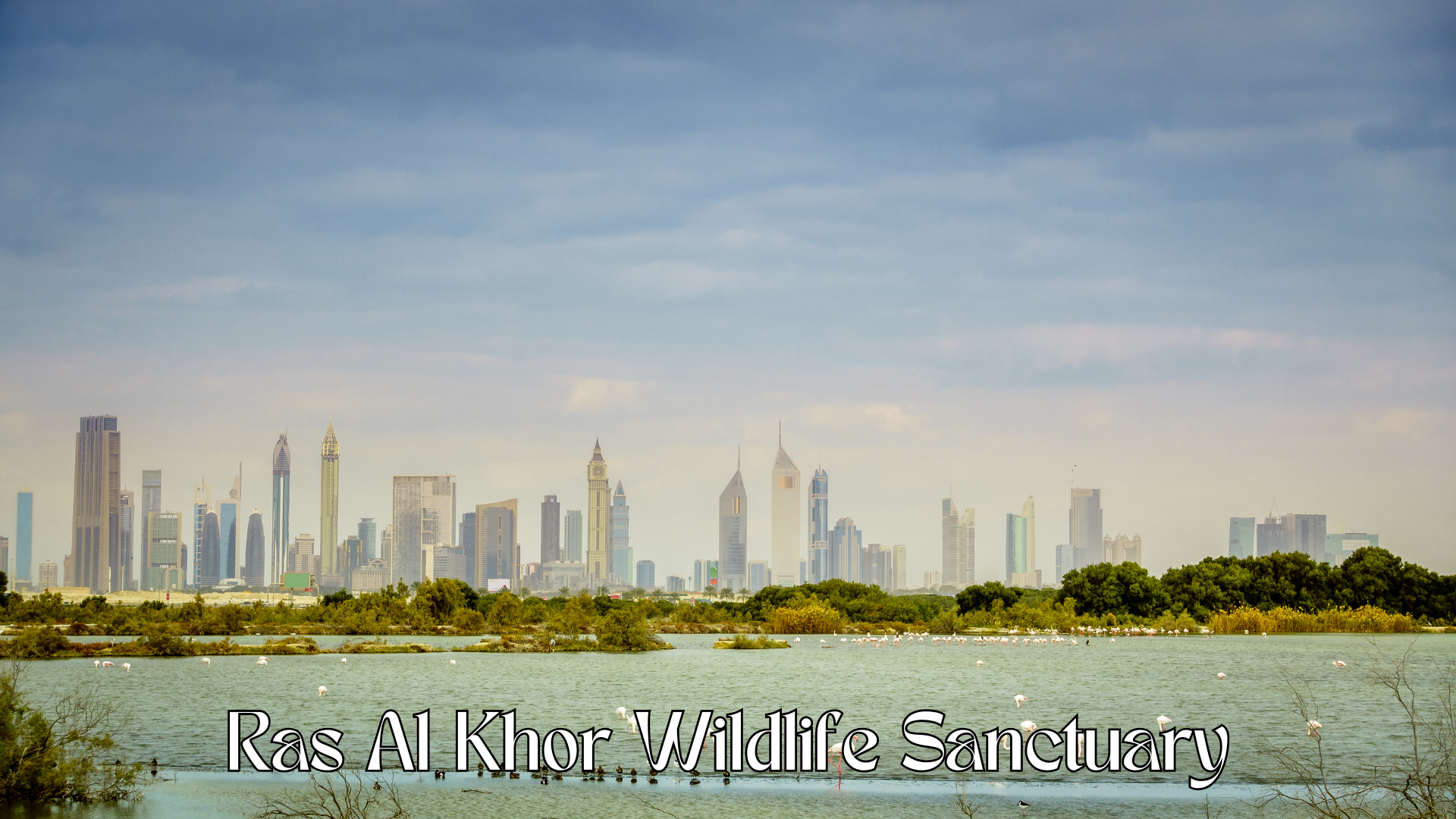 Ras Al Khor Wildlife Sanctuary