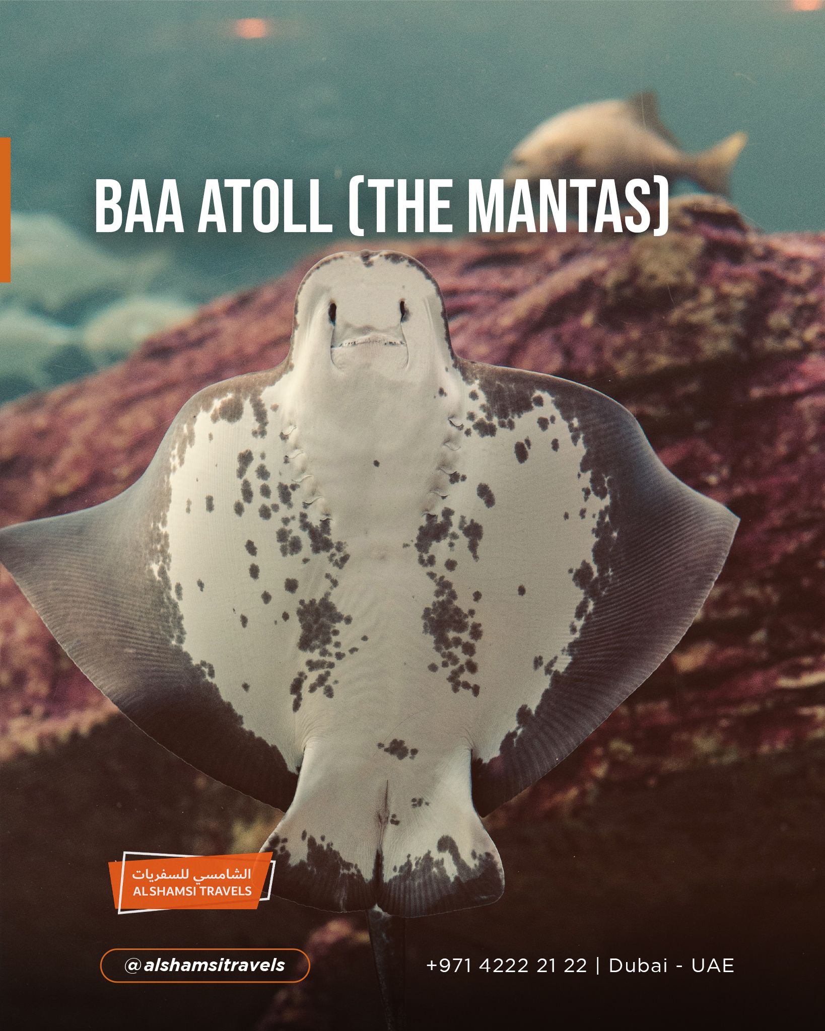 2nd-July-alshamsitravels-4